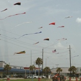 ./photos/galveston_july_2008/23_kites_in_galveston.jpg